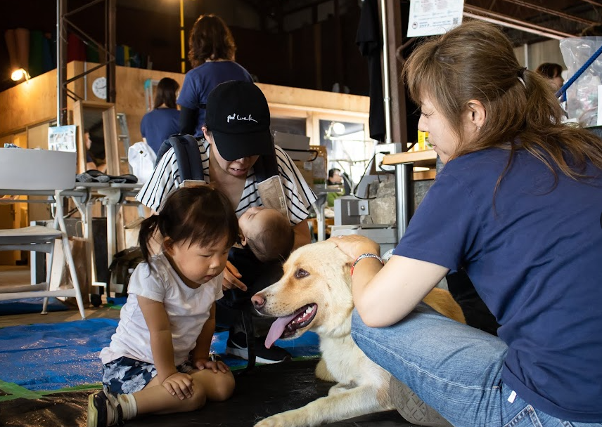 保護犬と子供のふれあい